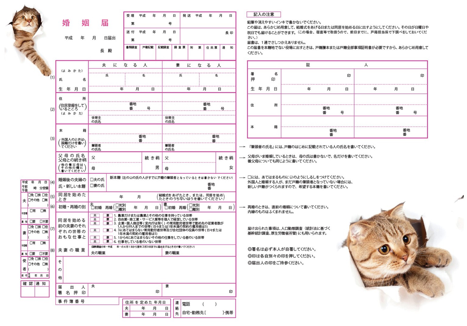 楽天市場 5 1 の新元号 令和 に対応 デザイン婚姻届 オリジナル婚姻届 役所に提出できる婚姻届け ネコ Bees Knees One