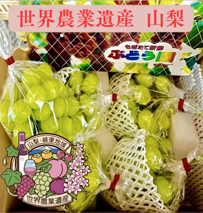 楽天市場】【 世界農業遺産 認定 】山梨 甘い シャインマスカット 1kg