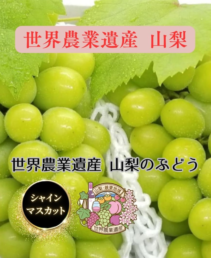 山梨県　種無し巨峰　2L　秀品とシャインマスカット葡萄　2種類組み合わせ発送 imgrc0087764101.jpg?fitin=272:272