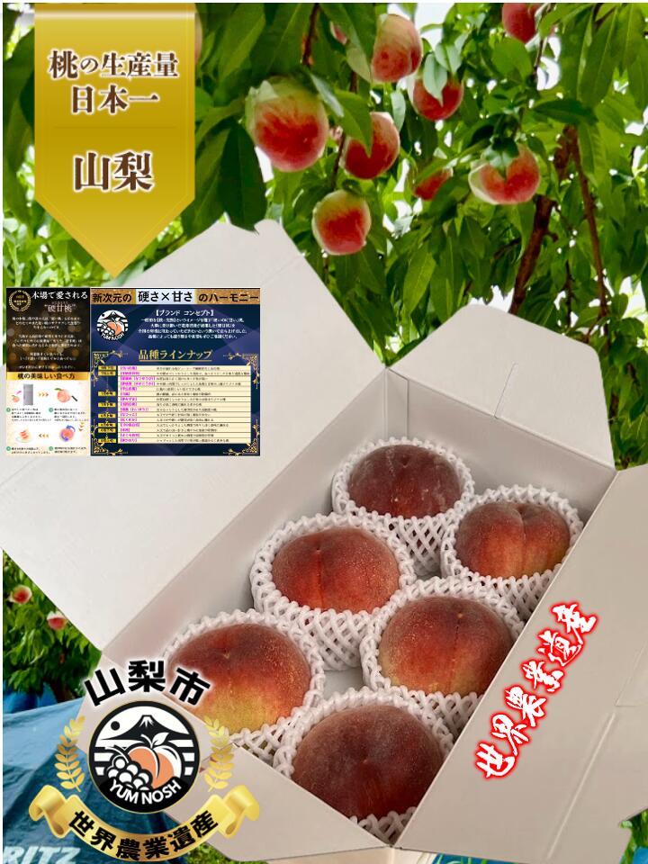 【 7月中旬以降発送 】桃 話題沸騰！ 硬甘桃 （ かたあまもも ） 桃 もも ２キロ （大玉 ５～６個） 糖度 13度以上 保証 ☆ 山梨 YUM NOSH【 世界農業遺産認定 】かたい あまい 最高 硬い 甘い 固い 贈り物
