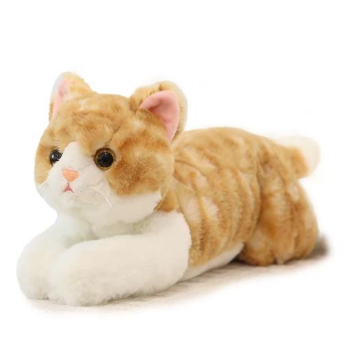 茶虎 抱き枕 50糎 ぬいぐるみ 猫 猫 実際的 ふわふわ 生生しい軽く 横向き寝 好いたらしい 寝具 添い寝枕 小わっぱ 抱き枕 好いたらしい 茶虎 気持ちいい抱き枕 ぬいぐるみ座蒲団 多役立つこと 癒し系 寝いす背心積もり 室内装飾