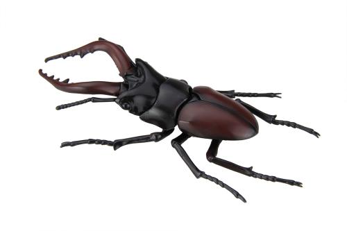 フジミ模型　いきもの編　カブトムシ、クワガタムシ完成品 Amazon | フジミ模型 自由研究シリーズ No.25 いきもの編