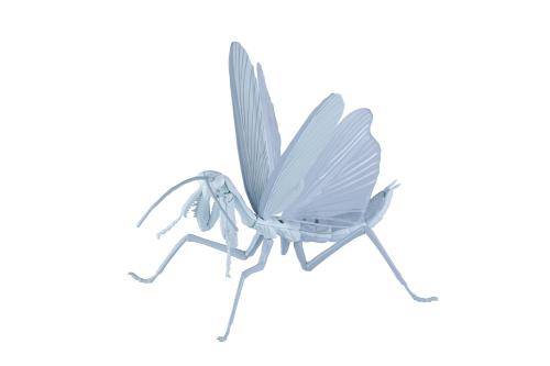 自由研究シリーズ No.235 はたらく細胞編 オオカマキリ 白血球(好中球)ver. プラモデル画像