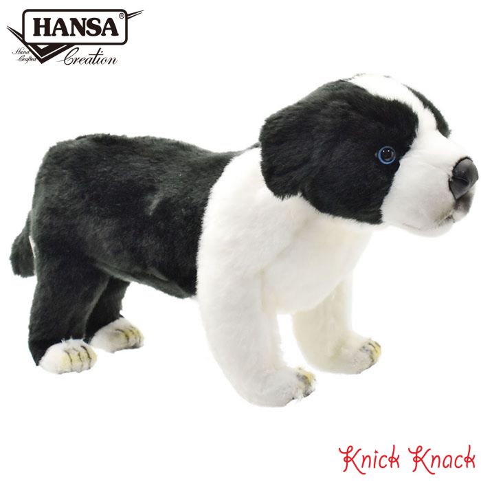 楽天市場】シュタイフ テディベア Steiff ジェイシー ボーダーコリー