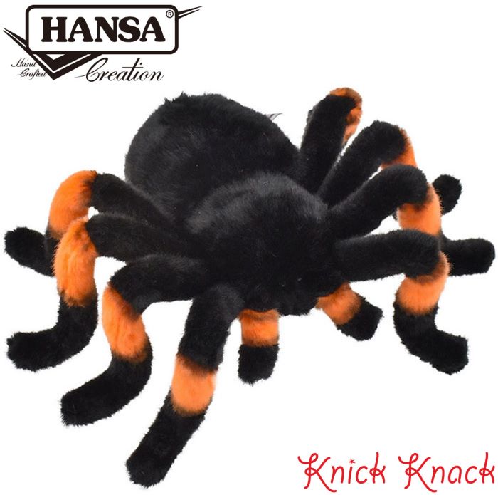 楽天市場】タランチュラ ケーセン KOSEN 22cm Aggi tarantula