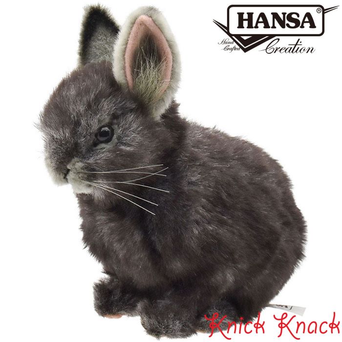楽天市場】＼平日9時までの注文で即日発送／【HANSA ピグミーウサギ 18