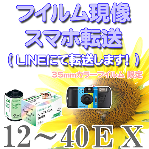 FUJIFILM 使い捨てカメラ 27枚撮影 （20個） 写ルンです 27枚撮 富士フイルム 写るんです フジフイルム