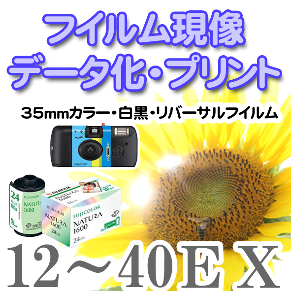 フィルム　film 10本セット(バラウリ無し) カメラフィルム 35mm フィルム 枚 10本」の人気商品一覧 | 安い