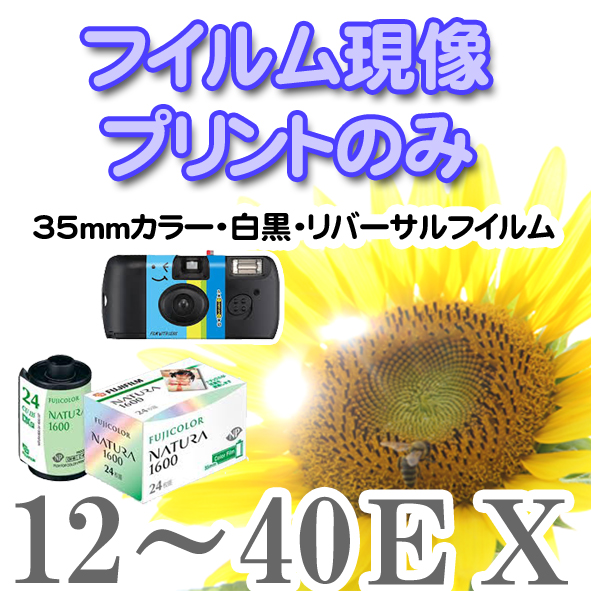 楽天市場】FUJIFILM (富士フイルム) FUJICOLOR (フジカラー) 100