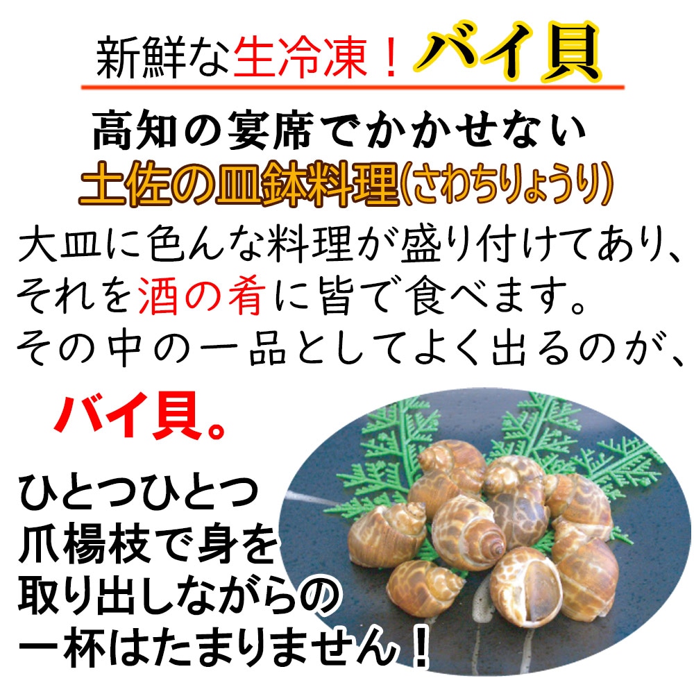 市場 送料無料 料理 貝 生冷凍 高知の皿鉢料理 酒の肴 焼酎 おつまみ ビール 大容量でお買い得 ２ｋｇ 日本酒 バイ貝 お父さん ばい貝 お酒