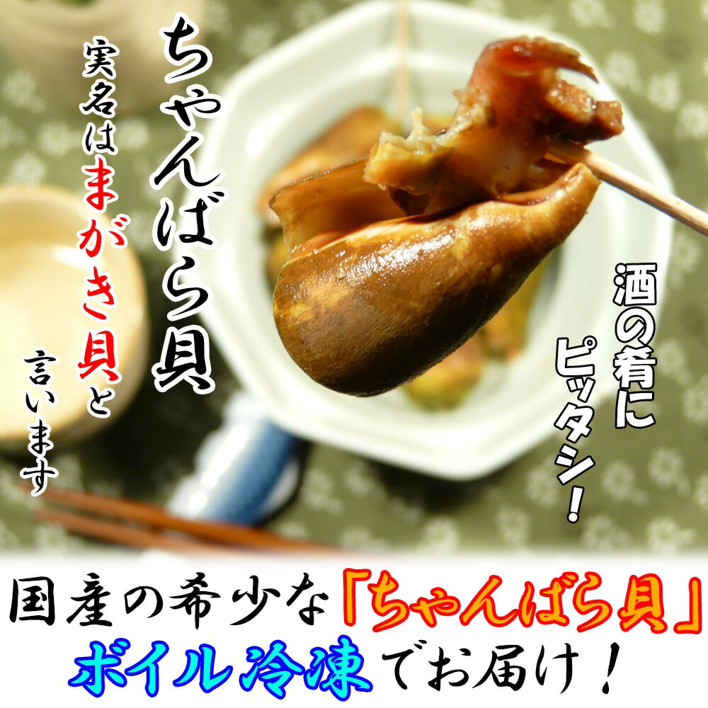 楽天市場 送料無料 お買い得 おつまみ 国産チャンバラ貝 1kg ボイル冷凍 冷凍 肴 日本酒 マガキ貝 居酒屋 酒の肴 チャンバラ ちゃんばら貝 マガキガイ お取り寄せグルメ 巻貝 お祝い 母の日 父の日 お中元 お歳暮 七五三 誕生日 還暦 興洋フリーズ 海鮮問屋 おさむ