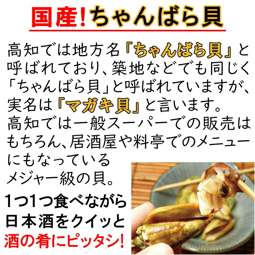 楽天市場 送料無料 お買い得 おつまみ 国産チャンバラ貝 1kg ボイル冷凍 冷凍 肴 日本酒 マガキ貝 居酒屋 酒の肴 チャンバラ ちゃんばら貝 マガキガイ 刀 食感 ビール 巻貝 お祝い 母の日 父の日 お中元 お歳暮 七五三 誕生日 還暦 興洋フリーズ 海鮮問屋 おさむ