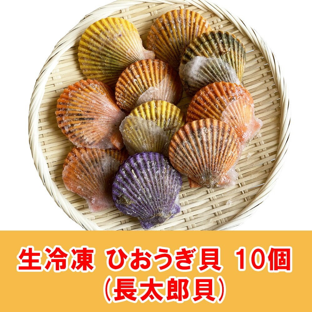市場 送料無料 10個 ホタテの仲間 バーベキュー 冷凍 お取り寄せ 海鮮 調理 ひおうぎ貝 グルメ キャンプ 長太郎貝 ヒオウギ貝 キャンプ飯 二枚貝