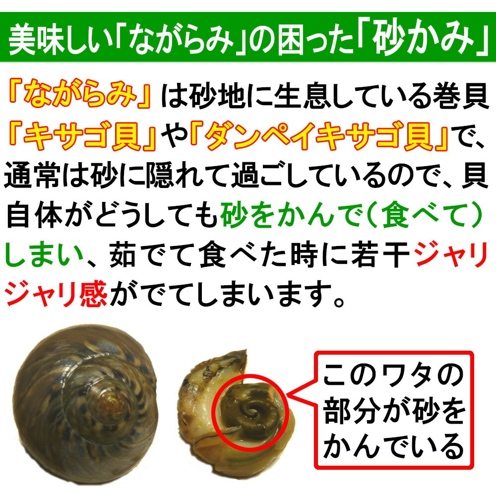 市場 送料無料 5袋 高知県 巻貝 5パック まいご レンジでながらみ 小分け 一人前 100ｇ 高価 キサゴ ダンベイキサゴ ビール ボイル冷凍  レンチン 希少