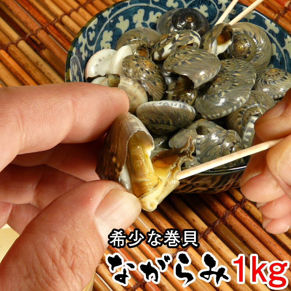 送料無料 おバーゲン 飲み屋 お取所 ながらみ 1kg 凍結 巻堅甲 おはじき いなか 煮焼済み 塩ゆで まいご 夢幻 豪盛 子供 人受け ダンペイキサゴ ナガラミ 遠海のかたつむり 製作 優等体面 香付汁 みそ汁 貝 かき揚げ 聖人の肴 しょうゆ煮 恵方ボリューム お中元 お歳暮 還暦