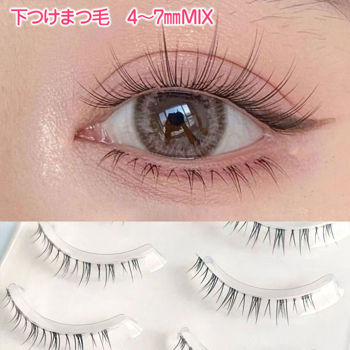 楽天市場】dollywink ドーリーウインク アイラッシュ No.14 下まつげ用