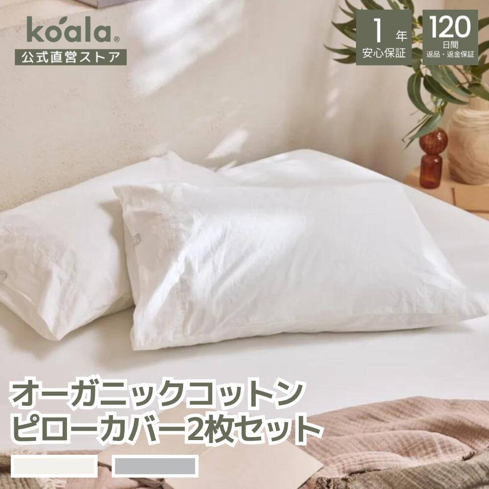コアラフトン OASIS | 一年中快適な眠りのオアシス – コアラ