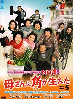 【中古】(非常に良い)母さんに角が生えた　DVD-BOX5