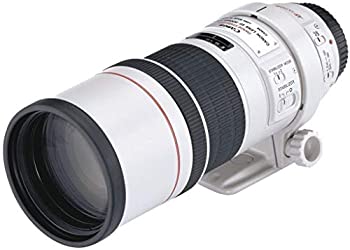 【中古】(非常に良い)Canon 単焦点望遠レンズ EF300mm F4L IS USM フルサイズ対応