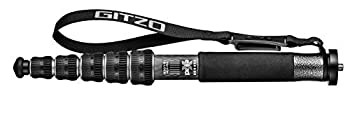 【中古】(非常に良い)GITZO 一脚 トラベラー 2型 カーボン 6段  GM2562T