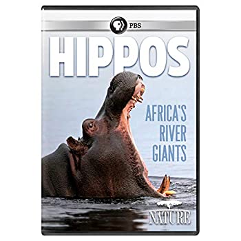 【中古】(未使用･未開封品)NATURE: Hippos: Africas River Giants [DVD]｜お取り寄せ本舗 KOBACO
