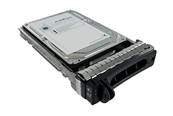 PCパーツ Axiom AXD - Hard drive - 1 TB - hot-swap - 3.5