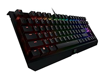 珍しい 中古 Razer Blackwidow X Tournament Edition Chroma テンキーレスゲーミングキーボード 英語配列版 日本正規代理店保証品 Rz03 R3m1 お取り寄せ本舗 Kobaco 新品本物 Erieshoresag Org