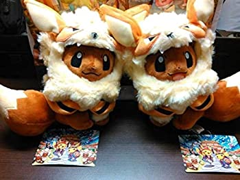 残りわずか その他 ポンチョ ウインディ イーブイ 中古 ポケモンストア 沖縄 ぬいぐるみ 2種セット 限定 ポケモンセンター スマイル ノーマル Www Dgb Gov Bf