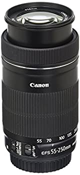 【中古】(非常に良い)EF S 55 to 250mm f 4 5.6 IS