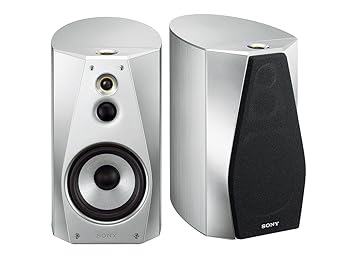 【中古】(人並み外れたに似つかわしい)ソニー SONY 金棒引き取り合わせ (2台1組) SS-HA1 : ハイレゾ相応う しろがね色 SS-HA1 S