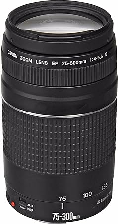 【中古】(人並み外れたに似つかわしい)加農砲EF 75-300粍 f/4-5.6 III 望遠望遠レンズ