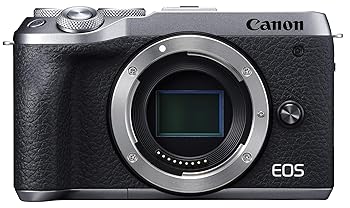 【中古】Canon 鏡鑑受け答え一眼写真器 EOS M6 Mark II 上半身 しろがね色 EOSM6MK2SL-BODY TV・オーディオ・カメラ-カメラ・ビデオカメラ・光学機器-ミラーレス一眼カメラ