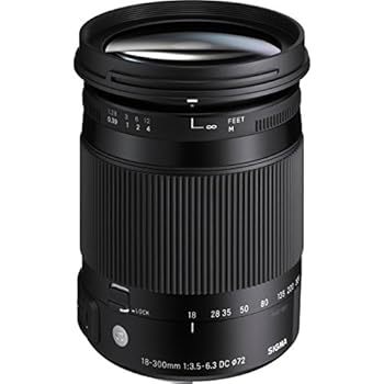 【中古】(非常に良い)シグマ(Sigma) SIGMA 18-300mm F3.5-6.3 DC MACRO HSM | Contemporary C014 | Sony Aマウント | APS-C/Super35