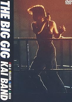 【中古】(未使用･未開封品)THE BIG GIG [DVD] 甲斐バンド