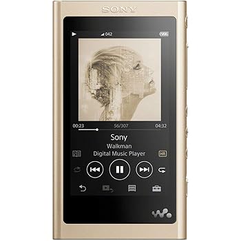 【中古】(人並み外れたに好いたらしい)ソニー ウォークマン A続きもの 16GB NW-A55HN : MP3電気蓄音機 Bluetooth microSD相応う ハイレゾ相応う 最大限度45第四次元年代順の継続生まれ変わり 2018年ひな形 ペールゴ