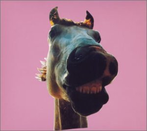 【中古】(非常に良い)Do!! The★MUSTANG [CD] THE HIGH-LOWS