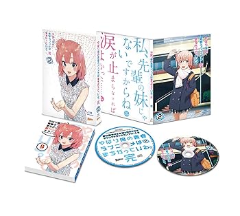 【中古】(非常に良い)やはり俺の青春ラブコメはまちがっている。完 第2巻(初回限定版)(渡 航書き下ろし文庫小説同梱) [DVD] 江口拓也