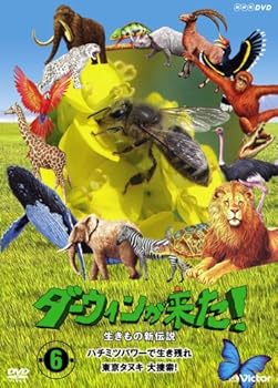 【中古】(未使用･未開封品)ダーウィンが来た!生き物新伝説 第6巻 [DVD]
