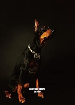 【中古】(未使用･未開封品)1st SONG(CD+DVD)(初回生産限定) - DOBERMAN INFINITY [audioCD]