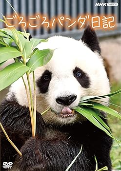【中古】(未使用･未開封品)ごろごろパンダ日記 [DVD] 鬼頭明里