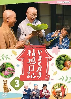 【中古】(非常に良い)やまと尼寺 精進日記 3 [DVD] 柄本佑