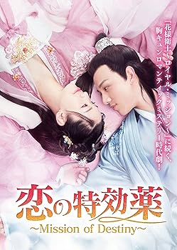 【中古】(非常に良い)恋の特効薬 ~Mission of Destiny~ DVD-BOX シアン・ハンジー