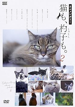 【中古】(非常に良い)ネコメンタリー猫も、杓子も。2 [DVD] 岸政彦
