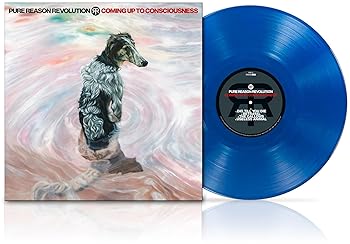 【中古】(未使用･未開封品)Coming Up To Consciousness [12 inch Analog] [lp_record] Pure Reason Revolution