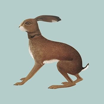 【中古】Lookaftering ( Expanded ) [audioCD] Vashti Bunyan