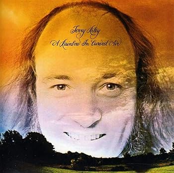 【中古】(非常に良い)A RAINBOW IN CURVED AIR [audioCD] TERRY RILEY
