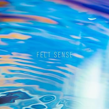 【中古】(未使用･未開封品)FELT SENSE [audioCD] moumoon