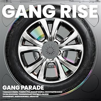 【中古】(未使用･未開封品)GANG RISE (厳選盤) (特典なし) [audioCD] GANG PARADE
