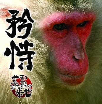 【中古】1st Album 「矜恃」(きょうじ) [audioCD] 英霊来世
