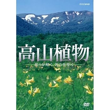 【中古】高山植物 ～花々が咲く名山を歩く～【NHKスクエア限定商品】[DVD]